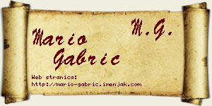 Mario Gabrić vizit kartica